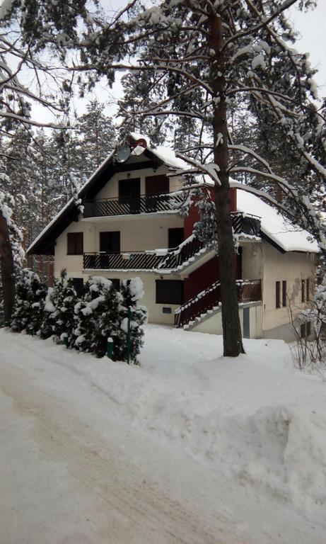 Apartment 9 Gorska Vila ズラティボール エクステリア 写真