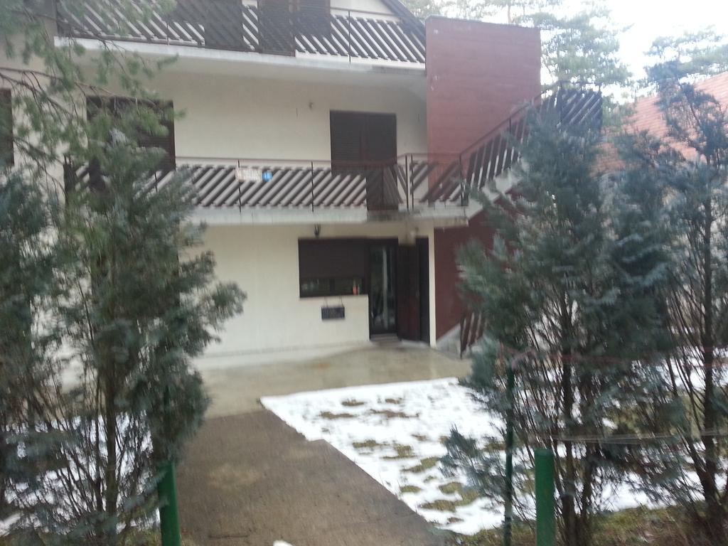 Apartment 9 Gorska Vila ズラティボール エクステリア 写真