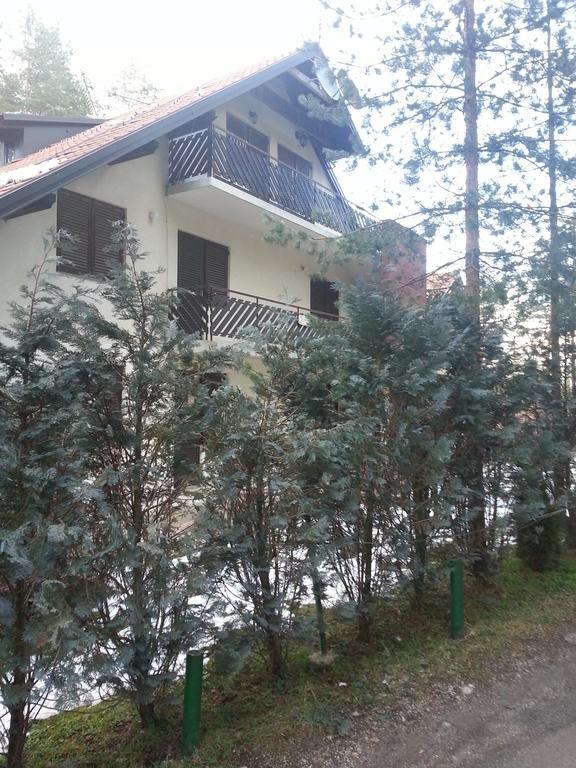 Apartment 9 Gorska Vila ズラティボール エクステリア 写真
