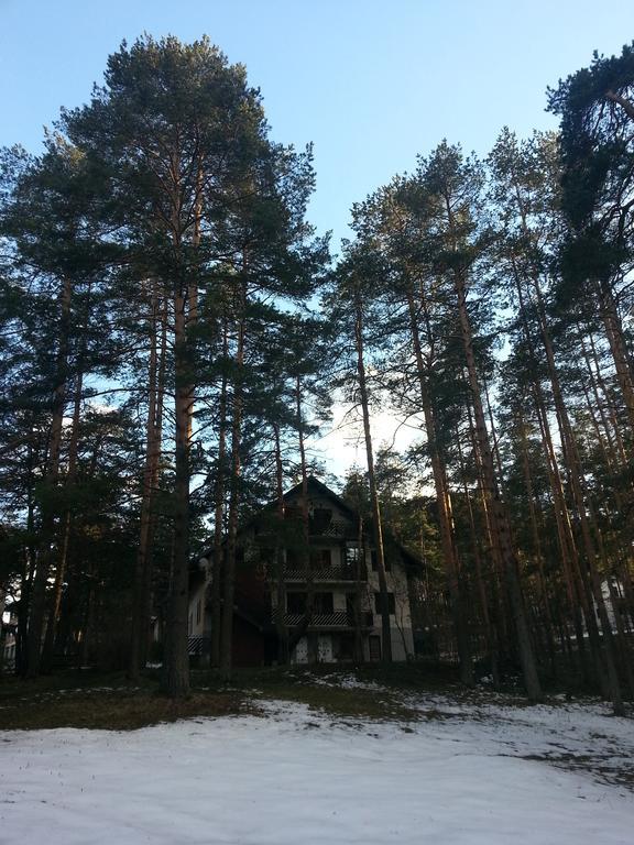 Apartment 9 Gorska Vila ズラティボール エクステリア 写真