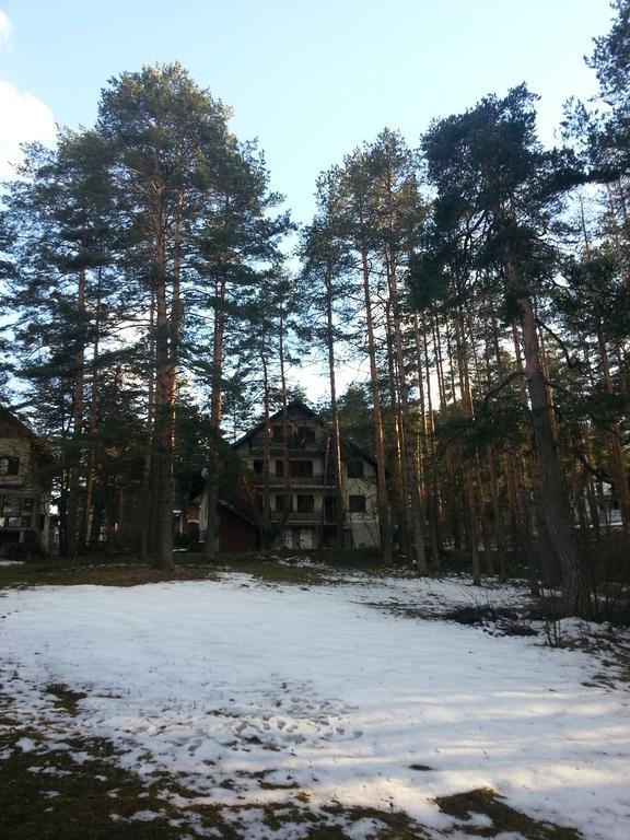 Apartment 9 Gorska Vila ズラティボール エクステリア 写真